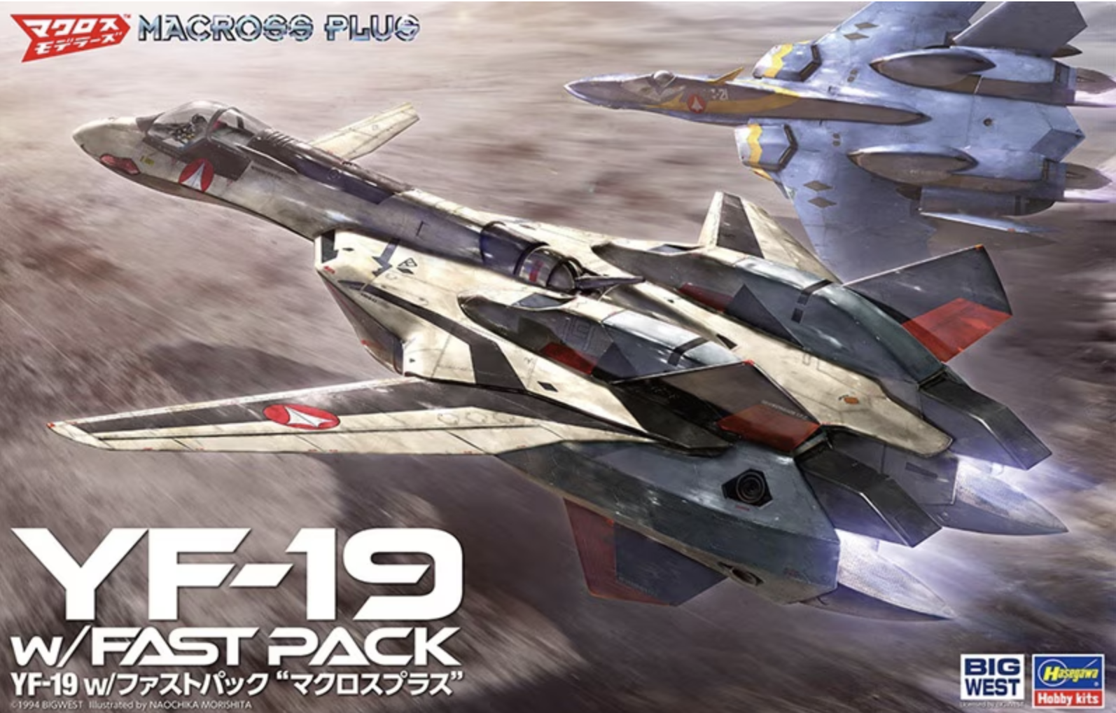 1/48 Hasegawa YF-19 w/ Fast Pack #65888
