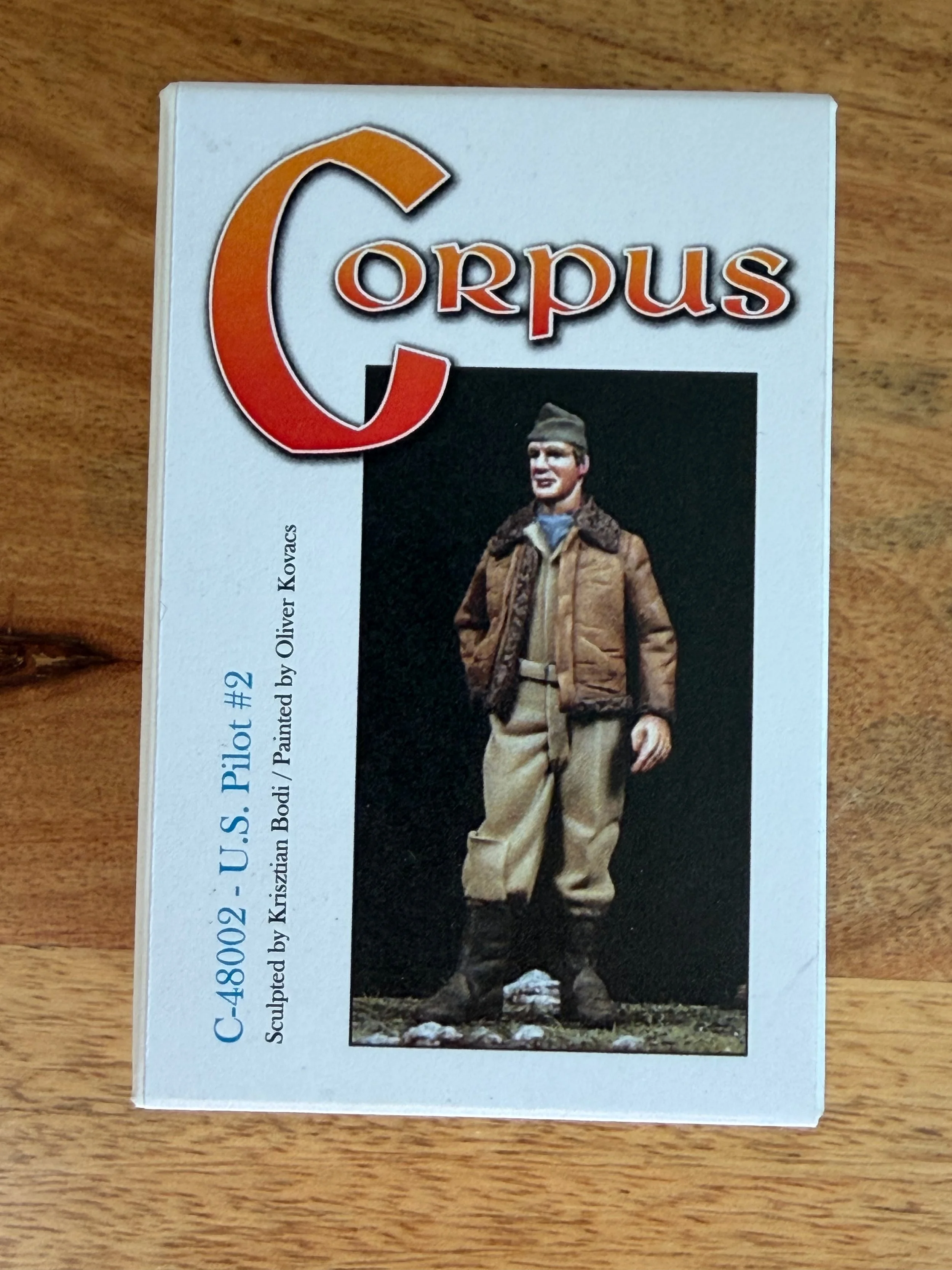 1/48 The Bodi Miniatures U.S. Pilot #2 #C-48002
